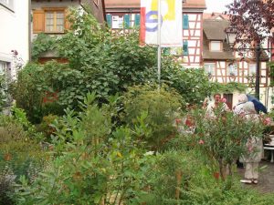 Im Hinterhof der Bibelgalerie ist auch ein kleiner Bibelgarten mit diversen biblischen Pflanzen zu bewundern. Das Wetter lud leider nicht zum längeren Verweilen ein...
