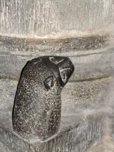 ein Murmeltier - Zeichen der Fruchtbarkeit - in der Kathedrale!