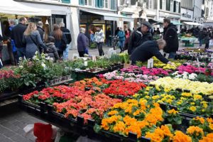 Frühling auf dem Marktplatz.