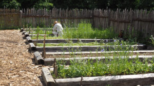 Gartenbeete