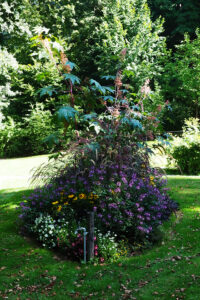 Blumen"Schiff"