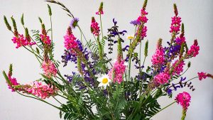 hübsche Blumendeko in der Aula (von der Wiese gleich vor dem Seminar)