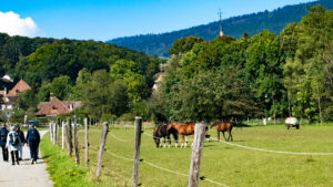 auf dem Weg von Croy nach Romainmôtier